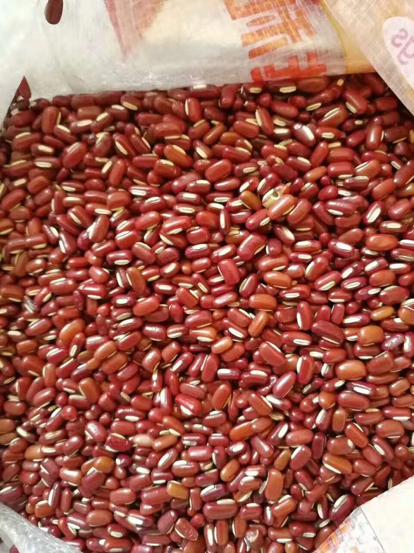 1545378415682558.jpeg 饭豆.jpg