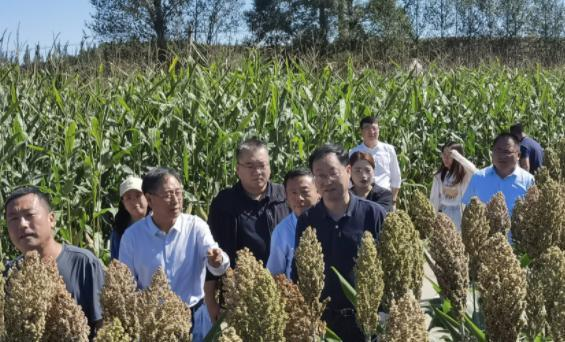 1631525519851552.png 图片2.png