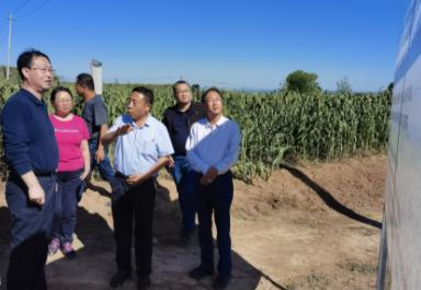 1631525532661224.png 图片3.png