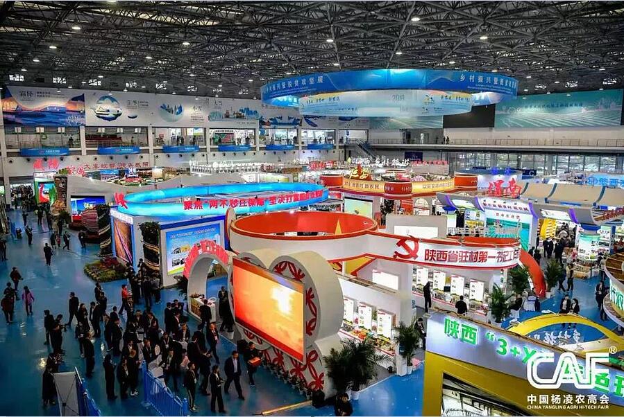 QQ截图20191031154058.jpg