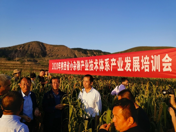 基地观摩_副本.jpg