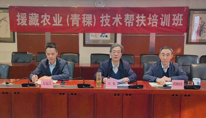 图片7.png