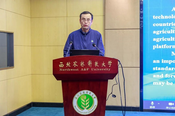 图片21.png