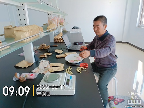 蚕豆豌豆专家宗绪晓.jpg