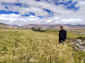 青稞专家唐亚伟