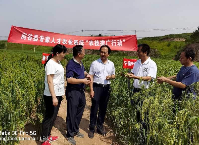 1598924466189861.png 1598924466189861.png