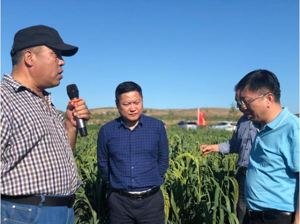 1599810079184296.jpeg 2.jpg