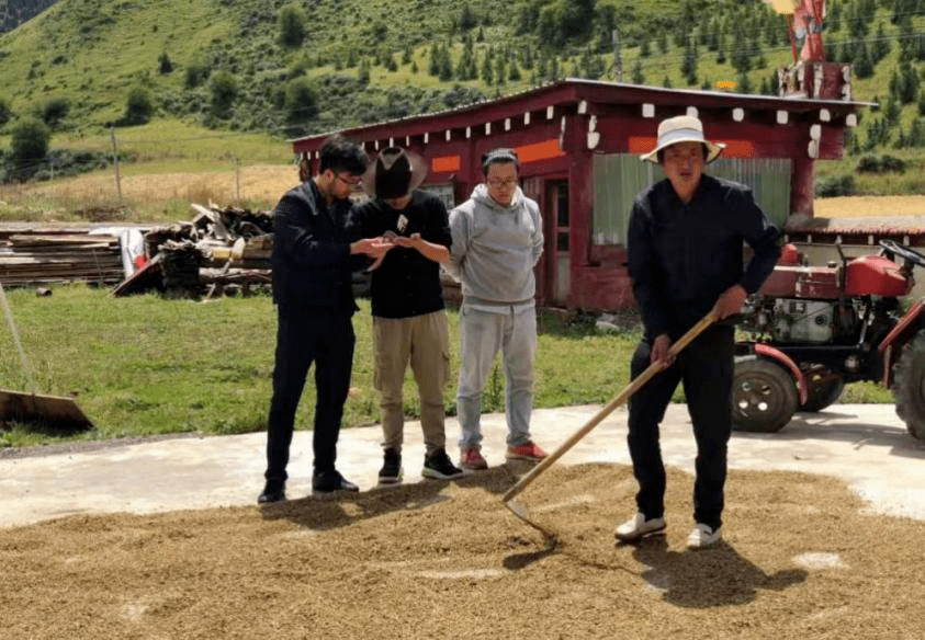 1646233726268259.png 1646233726268259.png