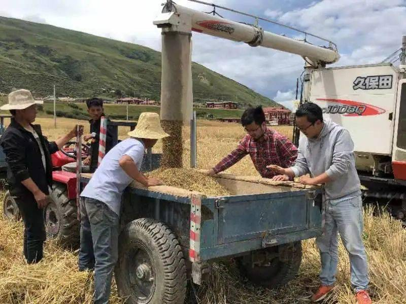 1646233727164391.png 1646233727164391.png