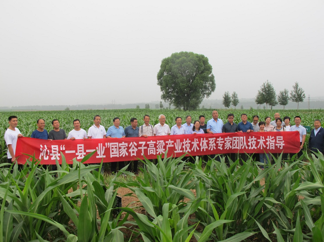 1658199797270793.png 图片1.png