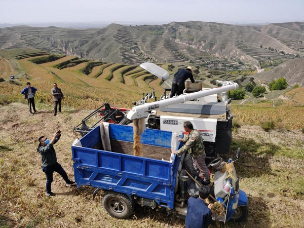 1665195531268062.png 图片6.png