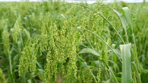 1695199348445374.png 图片5.png