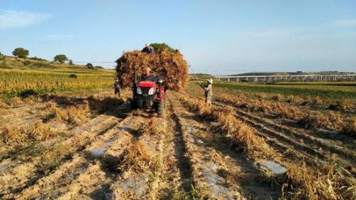 1703238021672576.png 图片 1.png