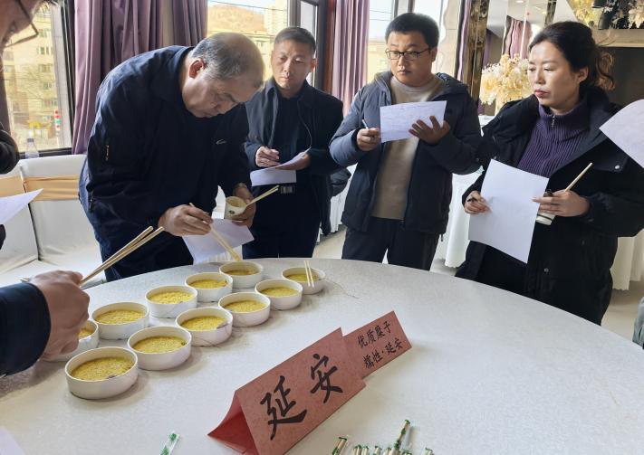 1739777321212400.png 1739777321212400.png