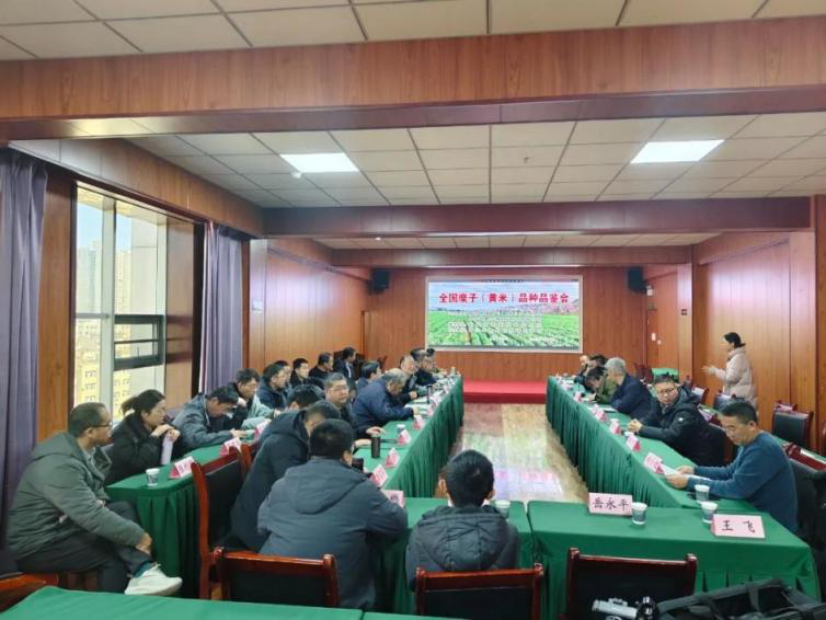 1739777321364472.png 1739777321364472.png