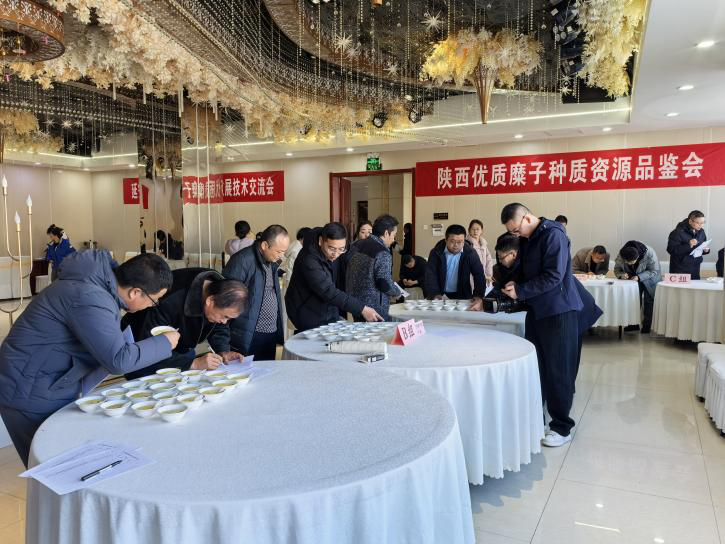 1739777321502873.png 1739777321502873.png