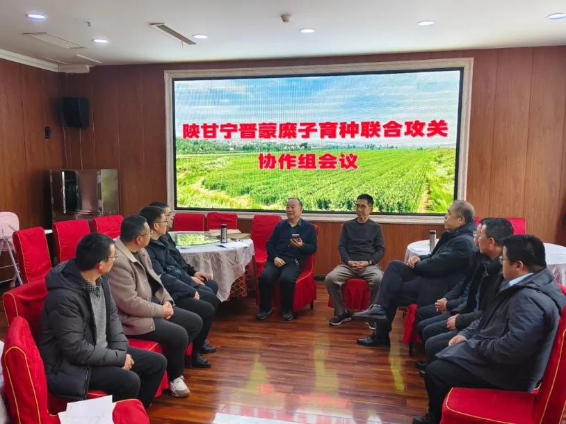 1739777321866611.png 1739777321866611.png