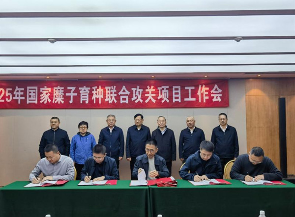 1743493991537199.jpeg 图片7.jpg