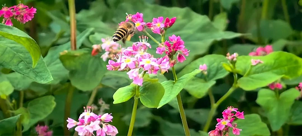 1757898821555582.png 图片 4.png