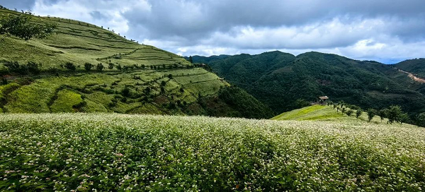 1757898873493668.png 图片 8.png